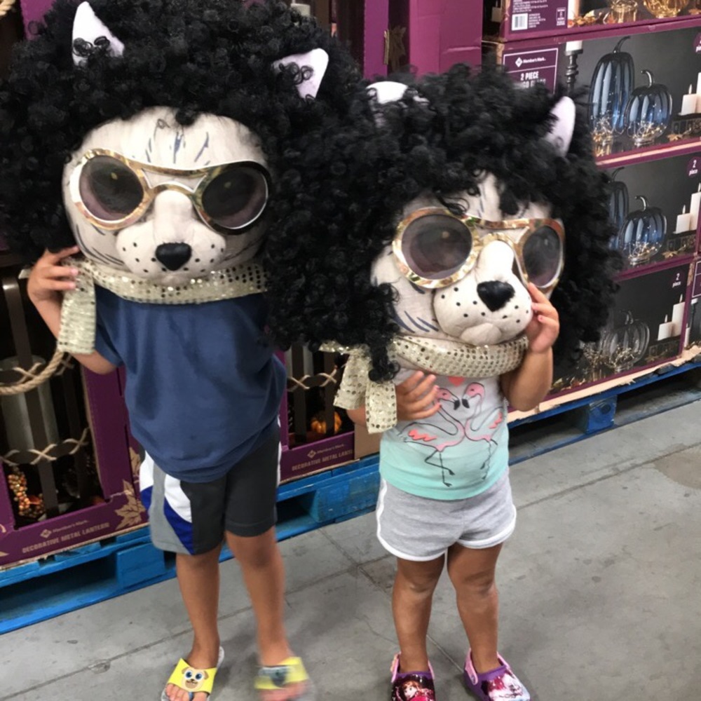 Meet your Posher, Sandra